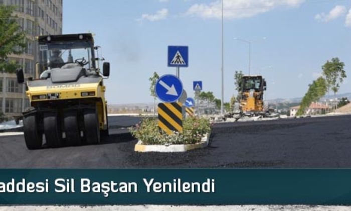 Çamlık Caddesi Sil Baştan Yenilendi