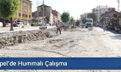 Cengiz Topel’de Hummalı Çalışma