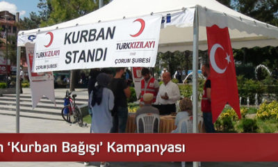 Kızılaydan ‘Kurban Bağışı’ Kampanyası
