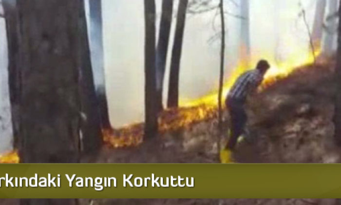 Tabiat Parkındaki Yangın Korkuttu