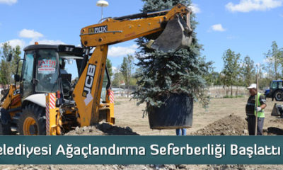 Çorum Belediyesi Ağaçlandırma Seferberliği Başlattı