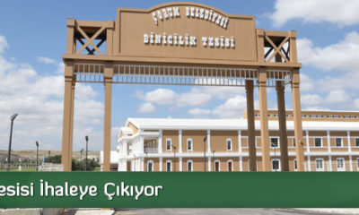 Binicilik Tesisi İhaleye Çıkıyor