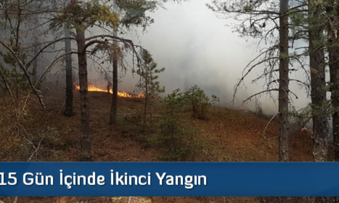 Çatak’ta 15 Gün İçinde İkinci Yangın