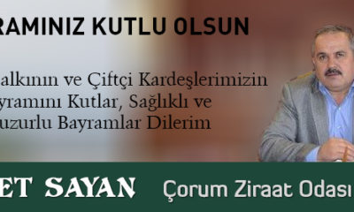Bayramınız Kutlu Olsun