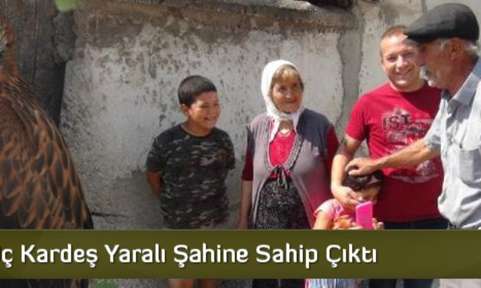 Üç Kardeş Yaralı Şahine Sahip Çıktı