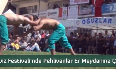 Ceviz Festivali’nde Pehlivanlar Er Meydanına Çıktı