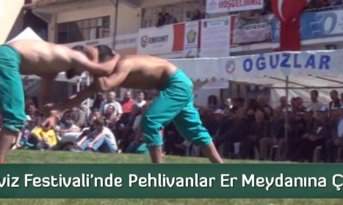 Ceviz Festivali’nde Pehlivanlar Er Meydanına Çıktı