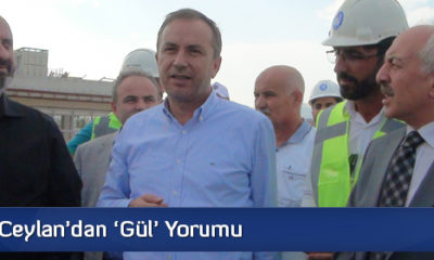 Ceylan’dan ‘Gül’ Yorumu