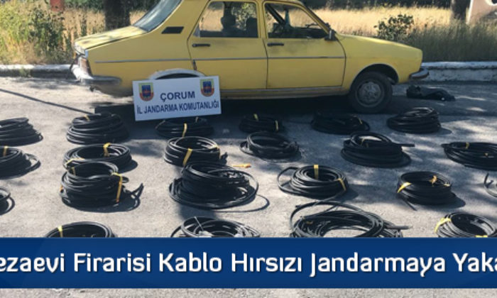 Cezaevi Firarisi Kablo Hırsızı Jandarmaya Yakalandı