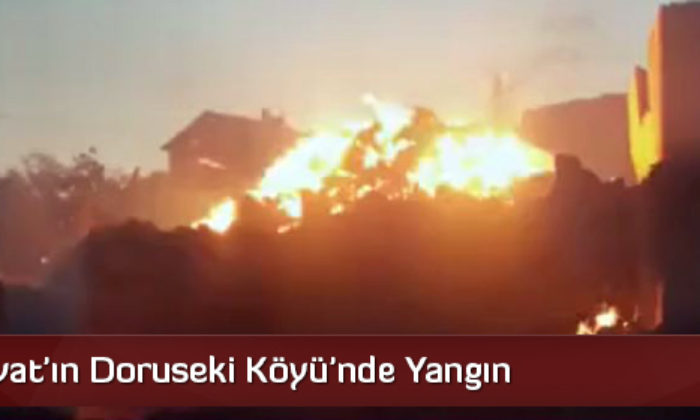 Bayat’ın Doruseki Köyü’nde Yangın
