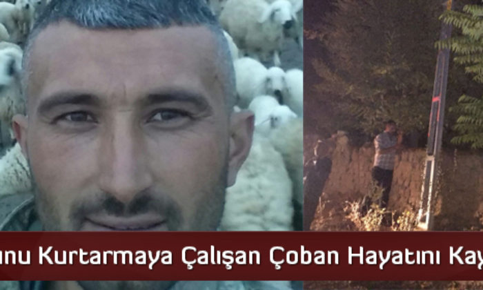 Koyunu Kurtarmaya Çalışan Çoban Hayatını Kaybetti