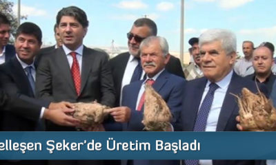Özelleşen Şeker’de Üretim Başladı