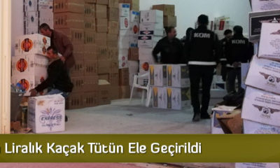 600 Bin Liralık Kaçak Tütün Ele Geçirildi