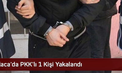 Alaca’da PKK’lı 1 Kişi Yakalandı