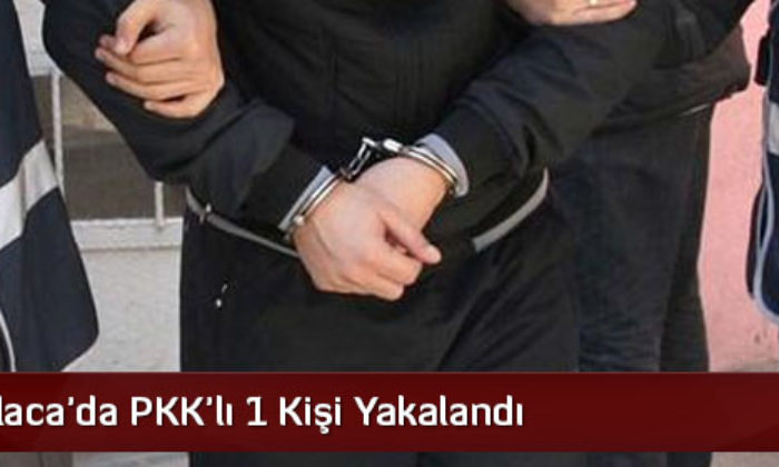 Alaca’da PKK’lı 1 Kişi Yakalandı