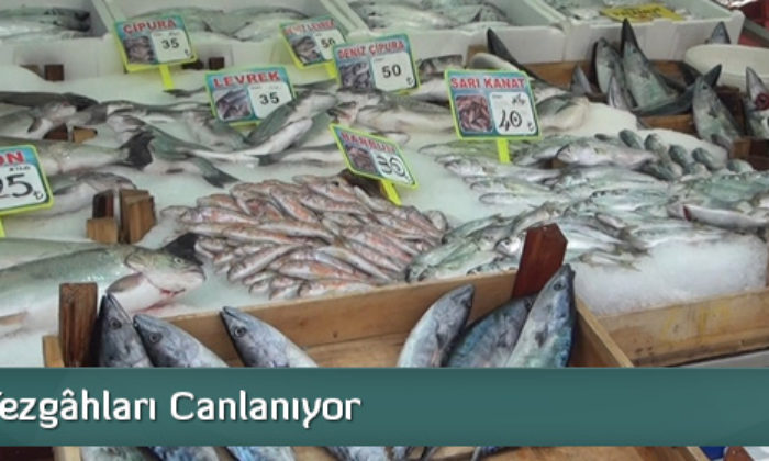 Balık Tezgâhları Canlanıyor