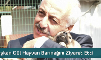 Başkan Gül Hayvan Barınağını Ziyaret Etti