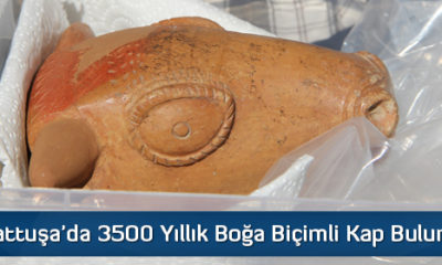 Hattuşa’da 3500 Yıllık Boğa Biçimli Kap Bulundu