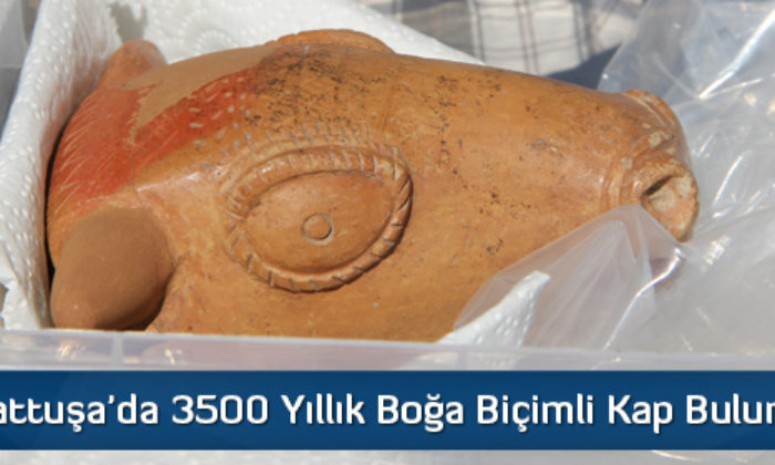 Hattuşa’da 3500 Yıllık Boğa Biçimli Kap Bulundu  