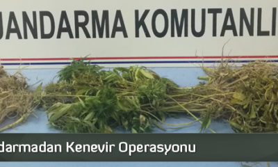 Jandarmadan Kenevir Operasyonu