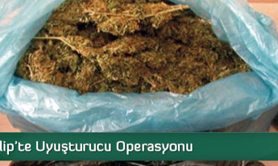 İskilip’te Uyuşturucu Operasyonu