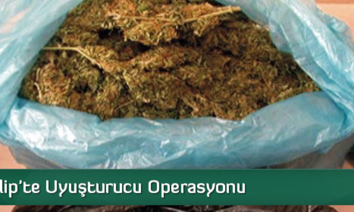 İskilip’te Uyuşturucu Operasyonu