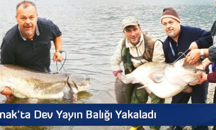 Kızılırmak’ta Dev Yayın Balığı Yakaladı
