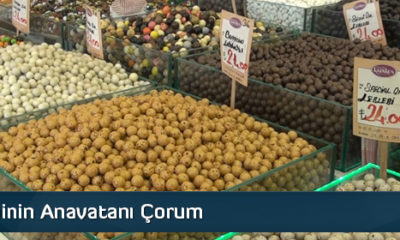 Çorum, Leblebinin Anavatanı