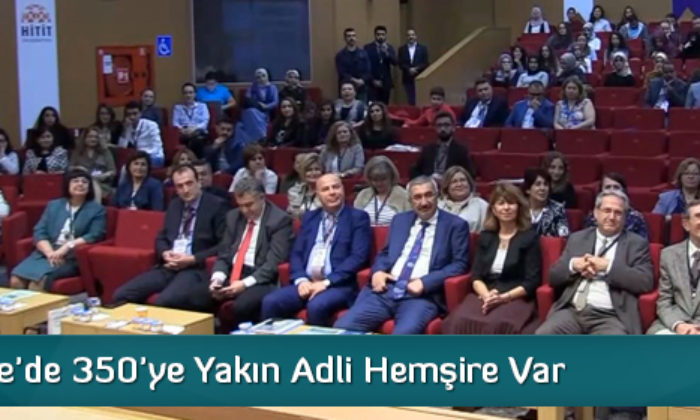 Türkiye’de 350’ye Yakın Adli Hemşire Var