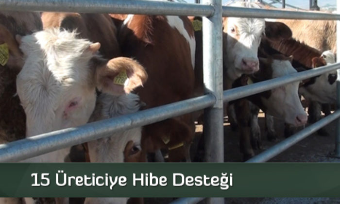 15 Üreticiye Hibe Desteği