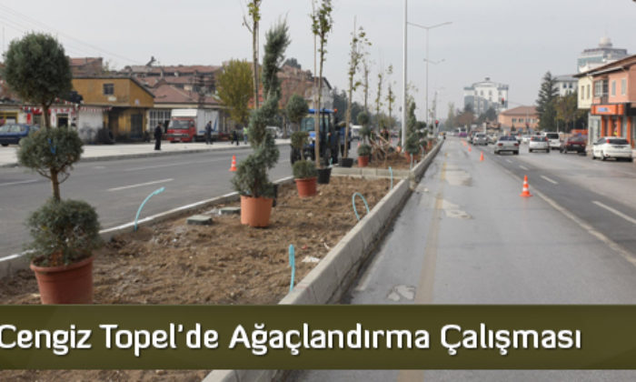 Cengiz Topel’de Ağaçlandırma Çalışması