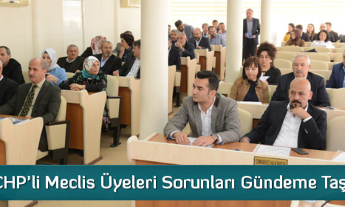 CHP’li Meclis Üyeleri Sorunları Gündeme Taşıdı