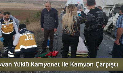 Hayvan Yüklü Kamyonet İle Kamyon Çarpıştı