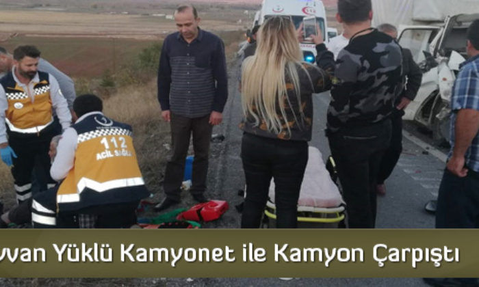 Hayvan Yüklü Kamyonet İle Kamyon Çarpıştı
