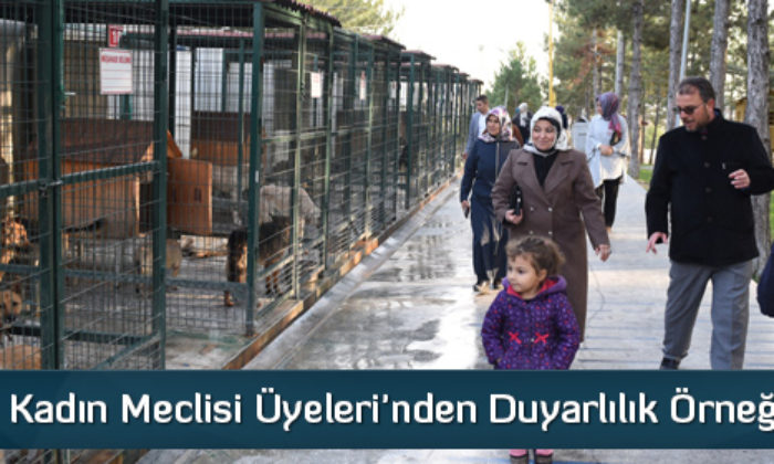 Kadın Meclisi Üyeleri’nden Duyarlılık Örneği