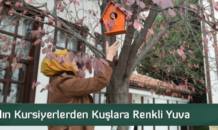 Kadın Kursiyerlerden Kuşlara Renkli Yuva  