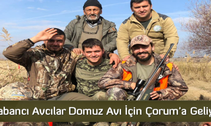 Yabancı Avcılar Domuz Avı İçin Çorum’a Geliyor