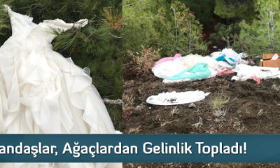 Vatandaşlar, Ağaçlardan Gelinlik Topladı