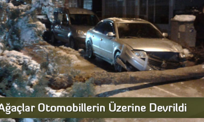 Ağaçlar Otomobillerin Üzerine Devrildi