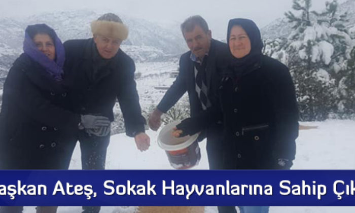 Başkan Ateş, Sokak Hayvanlarına Sahip Çıktı