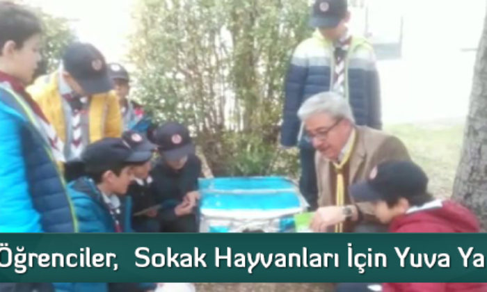 Öğrenciler,  Sokak Hayvanları İçin Yuva Yaptı