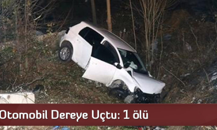 Otomobil Dereye Uçtu: 1 ölü