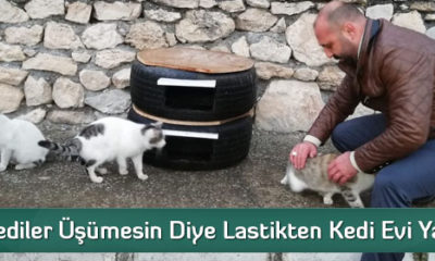 Kediler Üşümesin Diye Lastikten Kedi Evi Yaptı