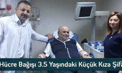 Kök Hücre Bağışı 3.5 Yaşındaki Küçük Kıza Şifa Oldu