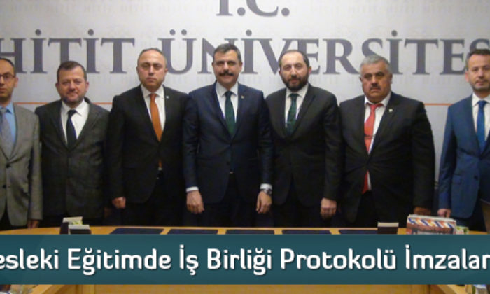 Mesleki Eğitimde Üniversite-Sanayi İşbirliği