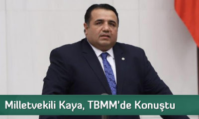 Milletvekili Kaya, TBMM’de Konuştu