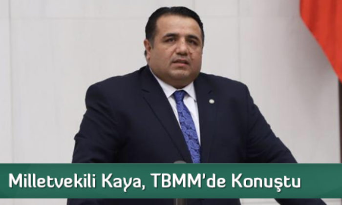 Milletvekili Kaya, TBMM’de Konuştu