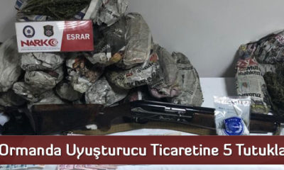 Ormanda Uyuşturucu Ticaretine 5 Tutuklama