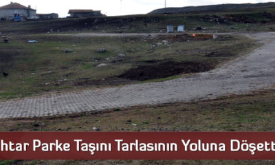 Muhtar Köyün Sokakları Yerine Tarla Yoluna Parke Taşı Döşetti