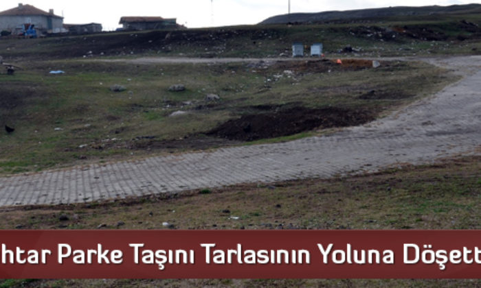 Muhtar Köyün Sokakları Yerine Tarla Yoluna Parke Taşı Döşetti